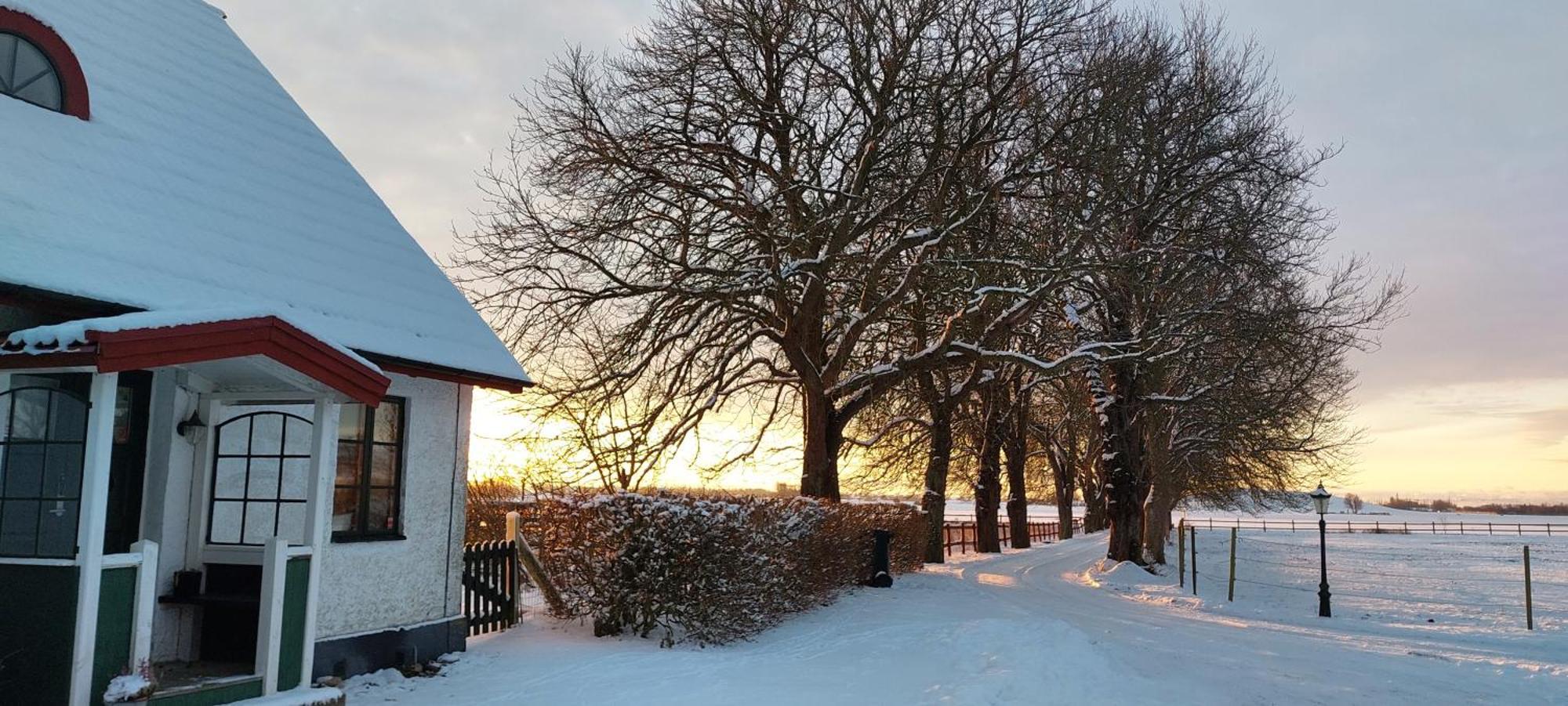 Lantligt Och Lugnt Boende Naera Natur Och Stad Svedala Eksteriør bilde