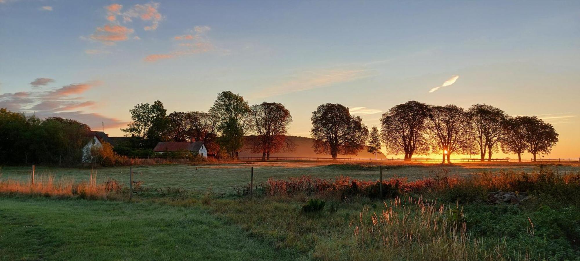 Lantligt Och Lugnt Boende Naera Natur Och Stad Svedala Eksteriør bilde