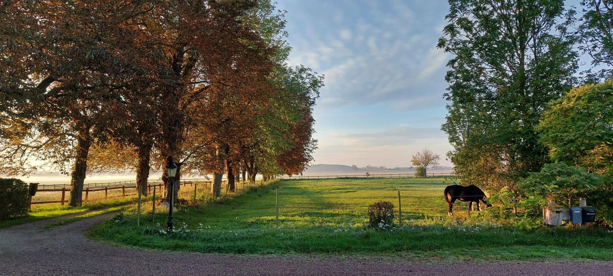Lantligt Och Lugnt Boende Naera Natur Och Stad Svedala Eksteriør bilde