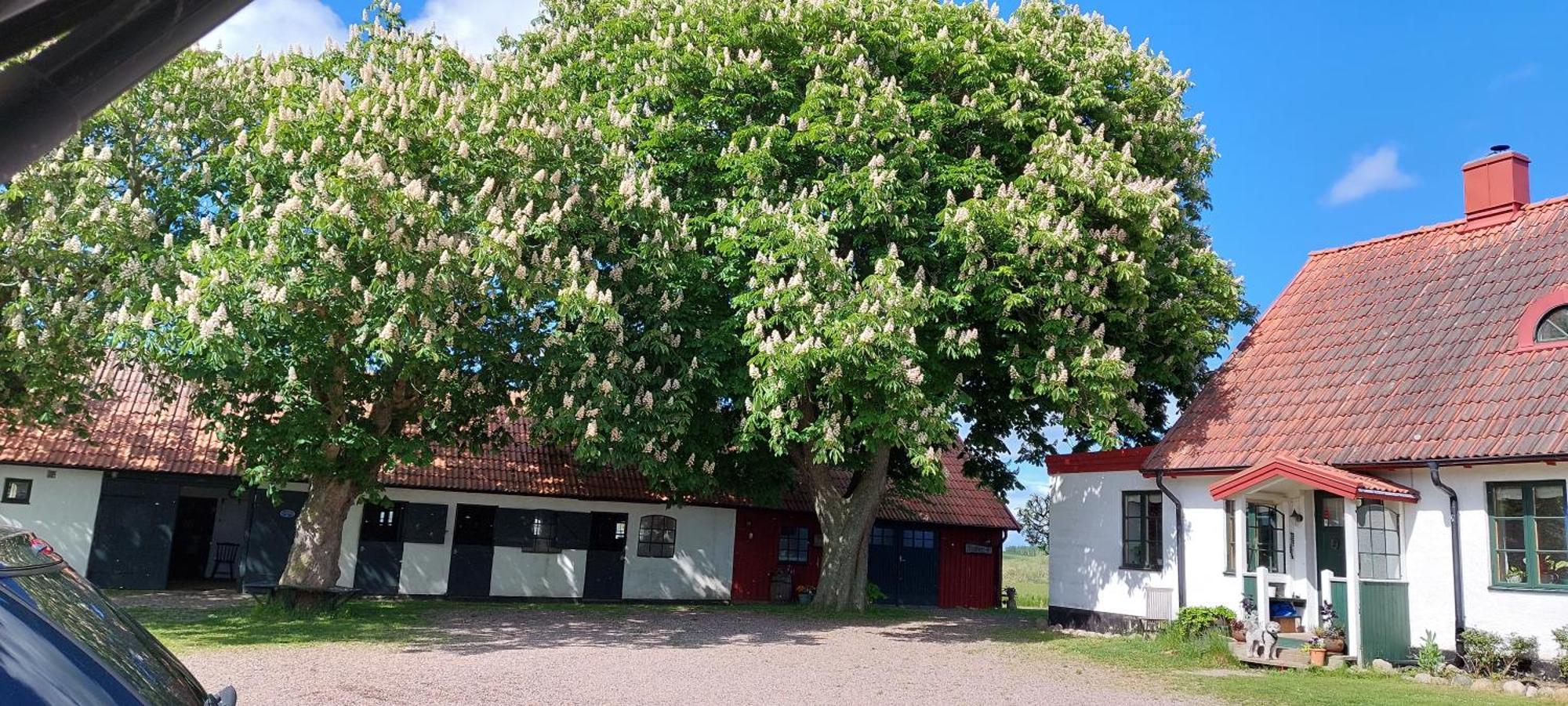 Lantligt Och Lugnt Boende Naera Natur Och Stad Svedala Eksteriør bilde