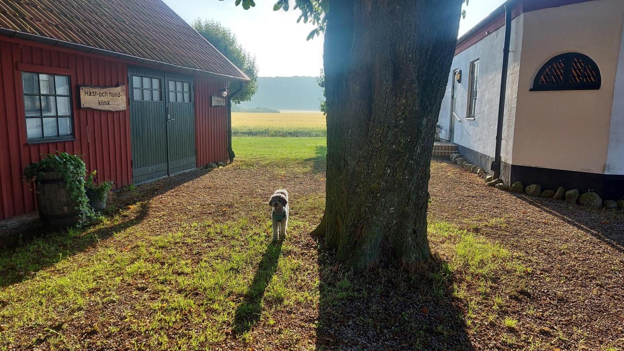 Lantligt Och Lugnt Boende Naera Natur Och Stad Svedala Eksteriør bilde